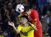 开云体育APP下载-战报：帕尔马斯跌入深渊，客场不敌奥萨苏纳的简单介绍