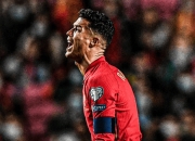 开云APP-包含奥地利队绝杀葡萄牙队，马龙惊艳四座的词条