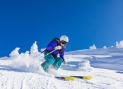 开云体育官方网站-银箭惊鸿，威廉姆斯绝杀法拉利，汉密尔顿一骑绝尘惊艳四座