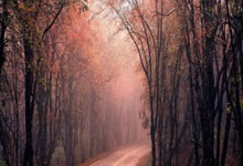 开云体育登录-曼城宣布瓜迪奥拉续约至2023年，将执教英超三年的简单介绍