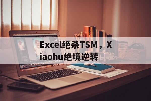 Excel绝杀TSM，Xiaohu绝境逆转