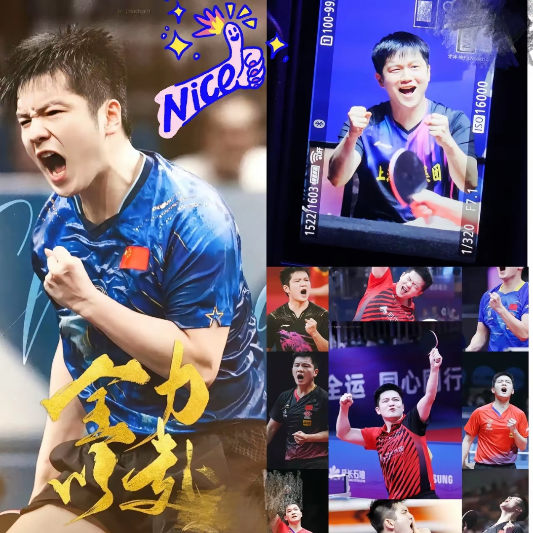 中国队横扫葡萄牙队，樊振东惊艳四座